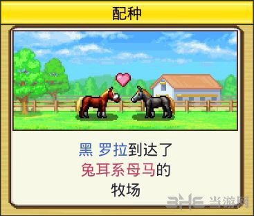 赛马牧场物语图片2