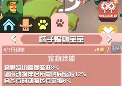 疯狂动物园袜子蝙蝠怎么抓 袜子蝙蝠属性图鉴