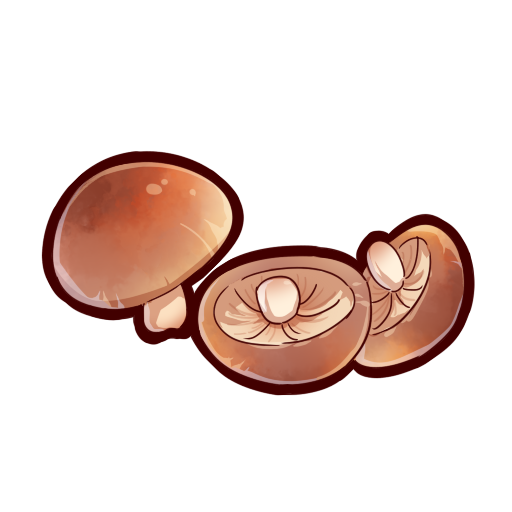 香菇.png