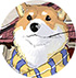 决战平安京犬神图片