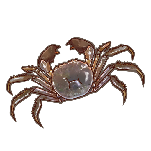 食之契约绒螯蟹图片