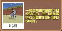 疯狂动物园斑马截图