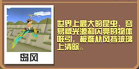 疯狂动物园蛾鹰截图