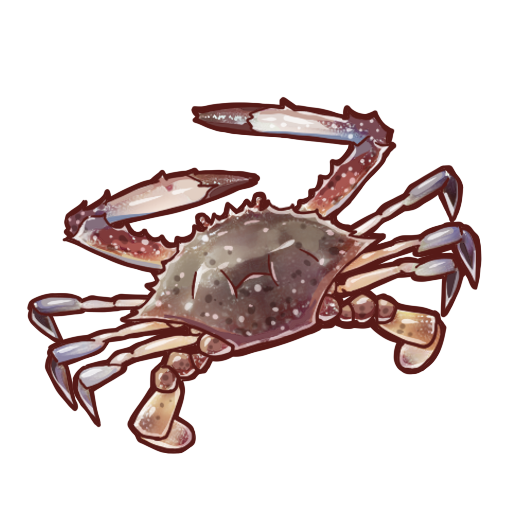 食之契约梭子蟹图片