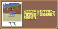 疯狂动物园水牛截图