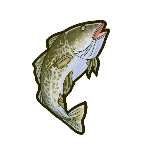 食之契约鳕鱼图片