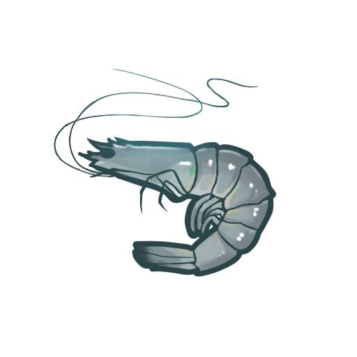 鲜虾.png