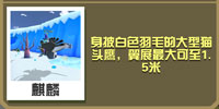 疯狂动物园雪鸮截图