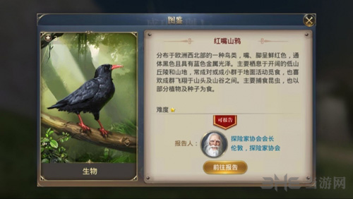 大航海之路图片2