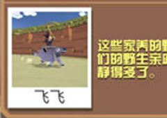 疯狂动物园水牛怎么抓 水牛属性图鉴