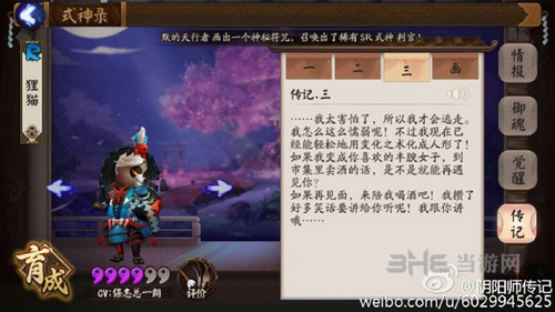 狸猫传记图片2