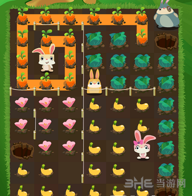 兔子复仇记五针松20关图片1