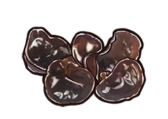 食之契约木耳哪里掉落 木耳掉落对应地图关卡