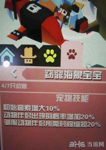 疯狂动物园窈窕海象宝宝截图