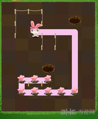 兔子复仇记五针松18关图片4