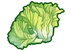 食之契约生菜去哪找 生菜掉落对应地图关卡