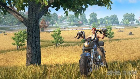 终结者2摩托车图片