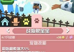 疯狂动物园海象大全 海象属性图鉴