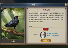 大航海之路山乌在哪 山乌位置详解