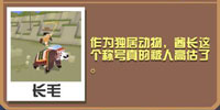 疯狂动物园熊酋长截图