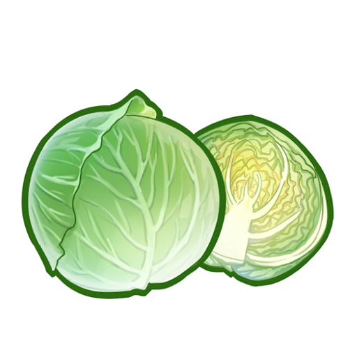 食之契约卷心菜图片