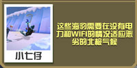 疯狂动物园爱斯基摩海豹截图