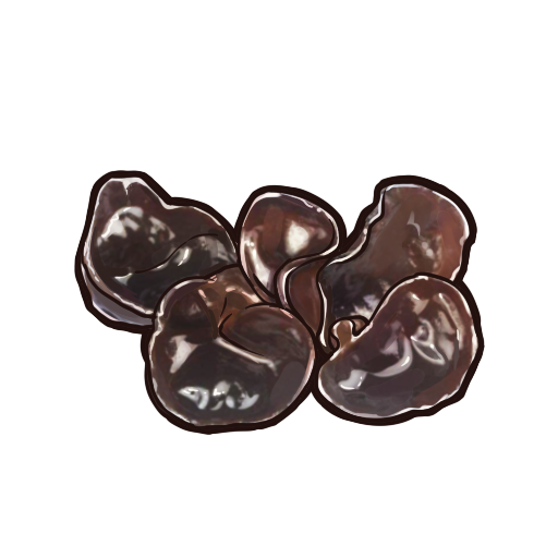 食之契约木耳图片