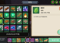 创造与魔法树叶有什么用 创造与魔法树叶用法详解