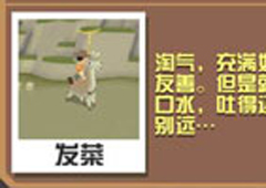 疯狂动物园羊驼大全 羊驼属性图鉴