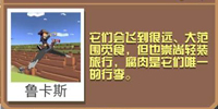 疯狂动物园秃鹰截图