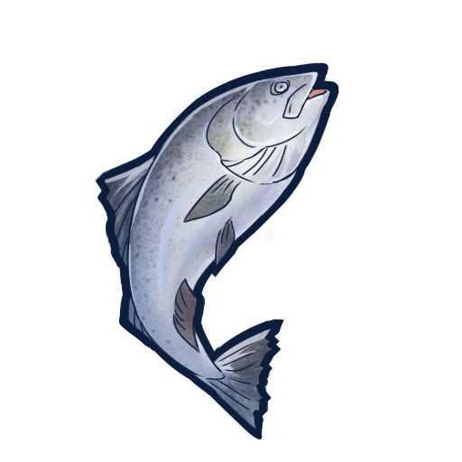 食之契约三文鱼图片