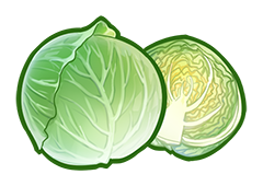 食之契约卷心菜哪关掉 卷心菜掉落对应地图关卡