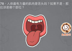 史小坑的烦恼3第78关怎么过 史小坑的烦恼3第78关关卡攻略