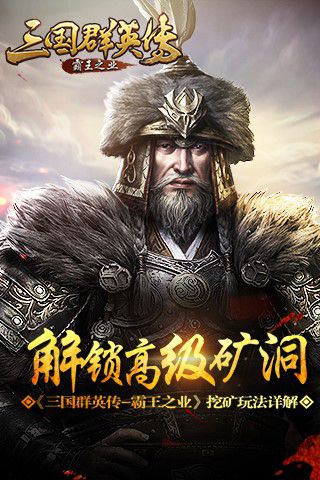 三国群英传-霸王之业截图1