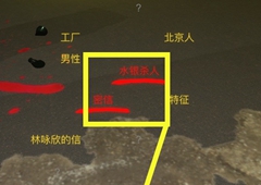 孙美琪疑案金凤凰B计划线索关联方法