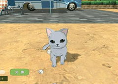 小森生活猫咪衣服怎么获得 猫咪服饰获取教程
