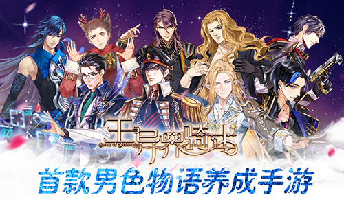 王与异界骑士图片1