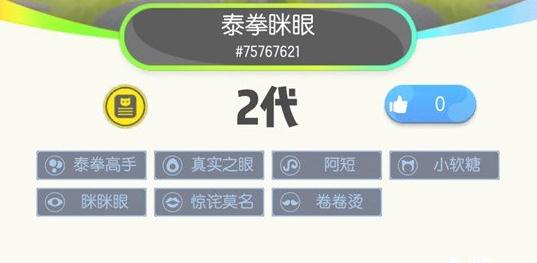 一起来捉妖泰拳高手