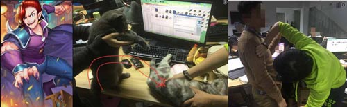 十万个冷笑话II截图6