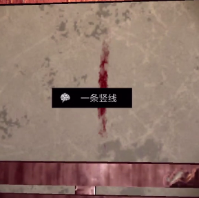 孙美琪疑案DLC王爱国一条竖线线索