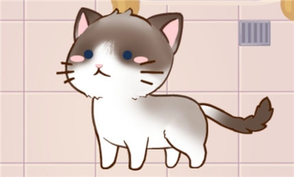 猫宅97图