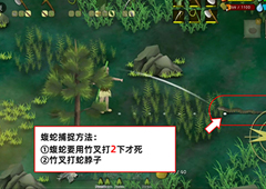挨饿荒野罗马尼亚高山怎么捉蛇 捕捉方法攻略