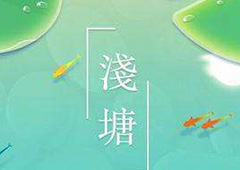 浅塘游戏攻略大全 全关卡通关图文攻略
