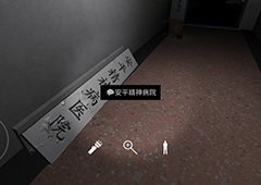 孙美琪疑案方婷婷安平精神病院线索获取地点