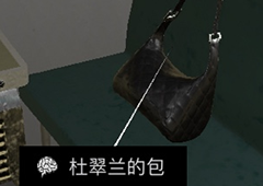 孙美琪疑案杜翠兰的包线索获得方法 杜翠兰包位置介绍