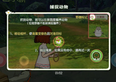 小森生活动物资源怎么获得 捕捉打猎钓鱼方法