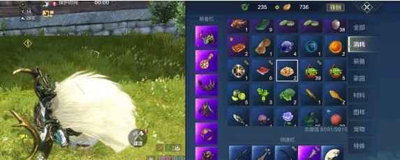 妄想山海长生果油