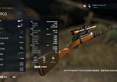 狙击精英5枪械怎么选择 武器图鉴一览