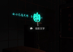 孙美琪疑案金凤凰投影文字线索获取方法