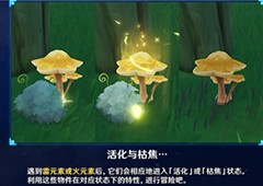 原神枯萎的星蕈怎么获得 枯萎的星蕈获取攻略